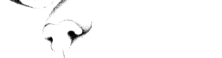 Katzenhilfe Stauferland e.V. Header
