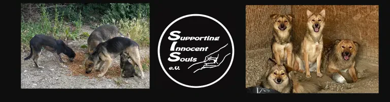 Supporting Innocent Souls e.V. Header