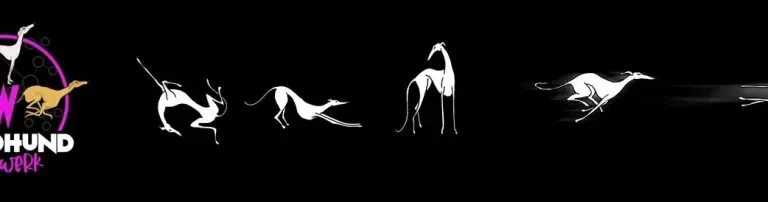 Windhund-Netzwerk e.V. Header