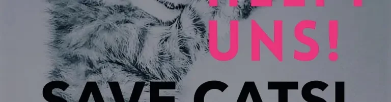 Save Cats! Yes We Can! Header