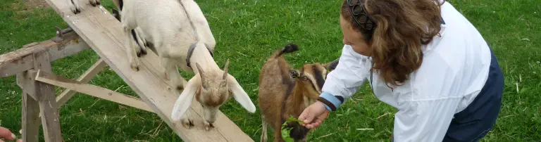 Bauernhoftiere bewegen Menschen e.V. Header