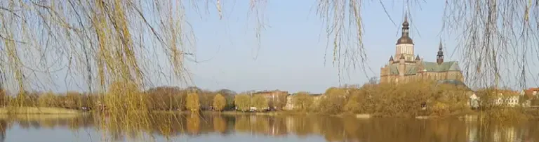 Finn Stralsund Viehberg Header