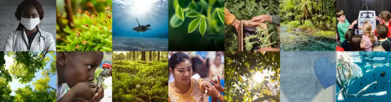 eco-projects.global Header