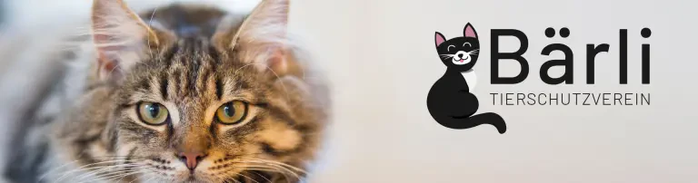 Tierschutzverein Bärli Header