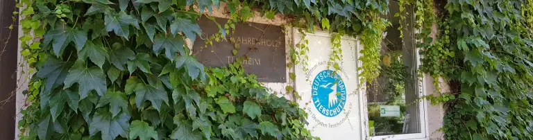 Tierschutzverein Düsseldorf u.U.e.V. - Tierheim Düsseldorf Header