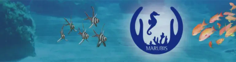 Mariner Arten und Biotopschutz e.V. Header