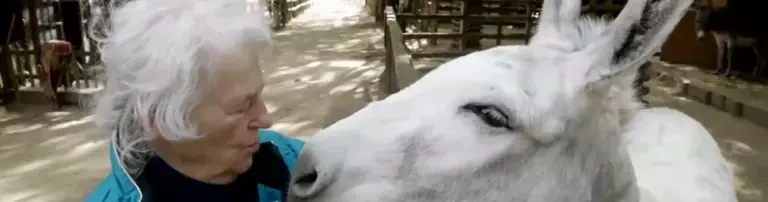 Arche Noah Meerbusch e.V. Tierpark und Jugendfarm Header