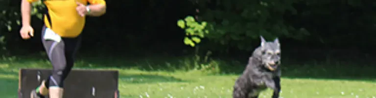 Hundesportverein am Tagebau Hambach e.V. Header