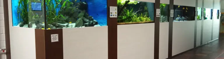 Aquarienfreunde Bad Königshofen e.V. Header