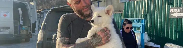 Helden für Tiere gGmbH Header