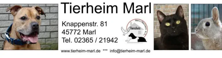 Tierschutzverein Marl/Haltern e.V. Header