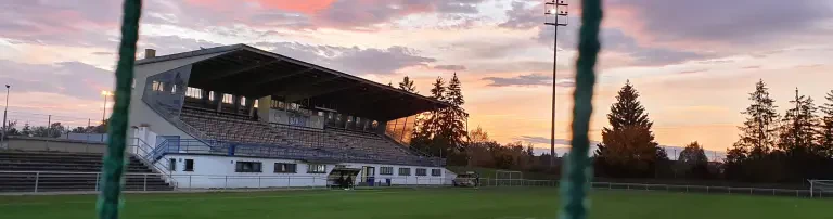 BSV 07 Schwenningen Header