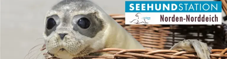 Verein zur Erforschung und Erhaltung des Seehundes e.V. Header