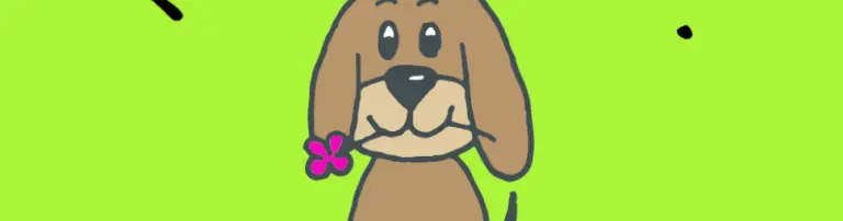 HuWieBo e.V. Header