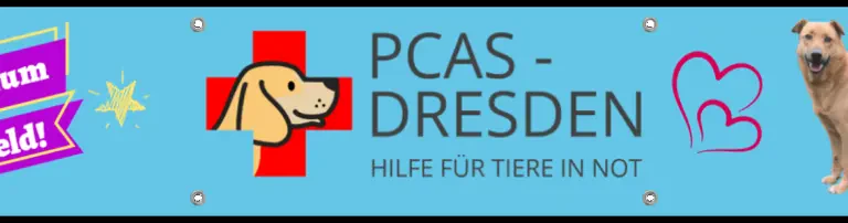 PCAS Dresden - Hilfe für Tiere in Not e.V. Header