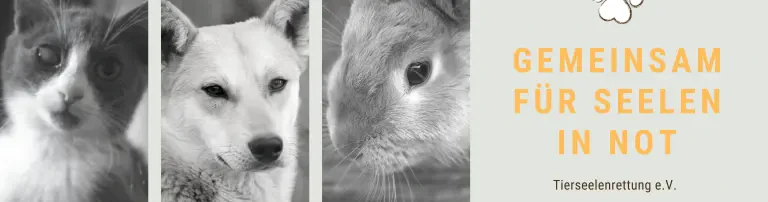 Tierseelenrettung e.V. Header