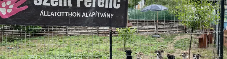 Tierschutzverein Hunde in Not Tirol- Öst. Tierhilfe Header