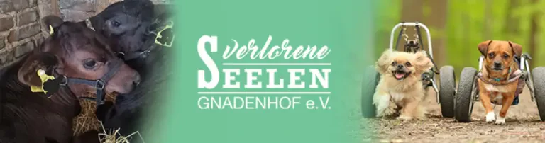 Gnadenhof verlorene Seelen e.V. Header