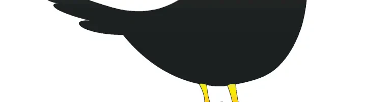 Förderverein Grundschule AMSEL e.V. Header