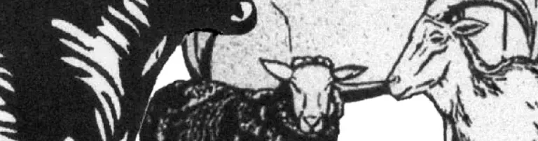 Tierschutzverein Wasgau e.V. Header