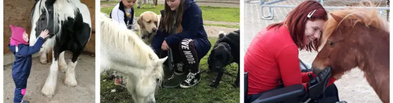 Tierisch gut helfen e. V. Header