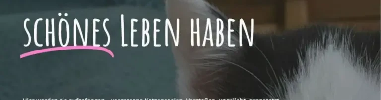 Vergessene Seelen - Gnadenhof für Katzen e. V. Header