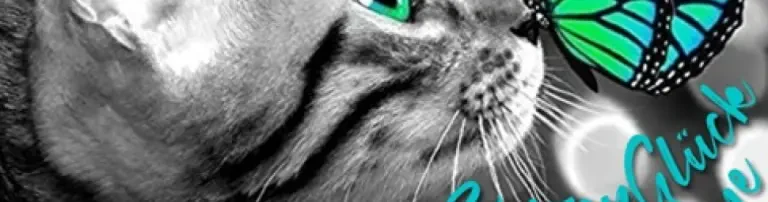 Katzenglück Ukraine, gemeinnütziger Verein Header