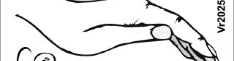 Assisi Animalis e.V. Header