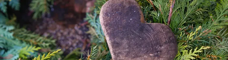 Waldkindergarten im Brandholz e.V. Header