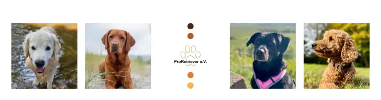 ProRetriever e. V. Header