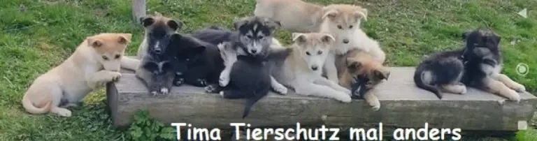 Tima Tierschutz mal anders Header