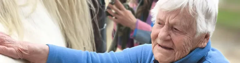 EquiCare e. V. - Verein für Mensch und Pferd Header
