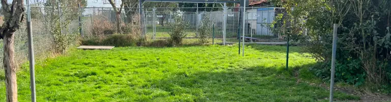 Dog Protection e.V. Header