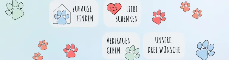 Drei Wünsche für Hundeherzen e.V. Header