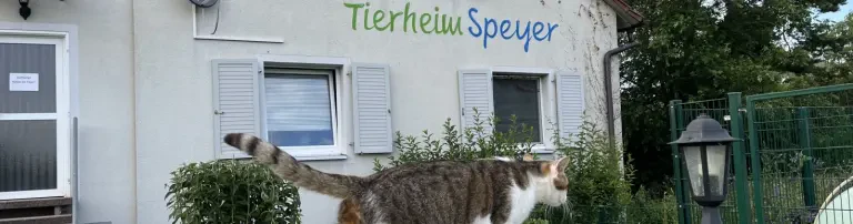Tierschutzverein Speyer und Umgebung e.V. Header
