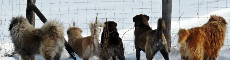 Pusztamonster eV Gnaden- und Seniorenhof Header