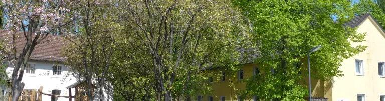 KEFI Kindergruppen-Elterngruppen-Förderinitiative e.V. Header