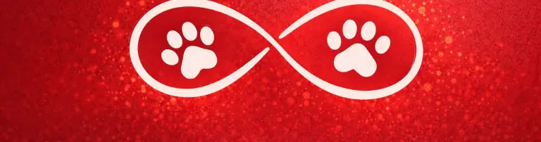 Pfötchenzauber Header