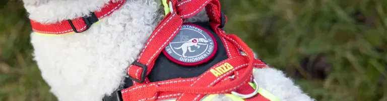Rettungshundestaffel Gifhorner Land e. V. Header