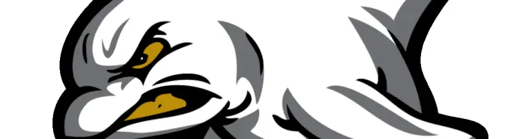 AFC Paderborn Dolphins e.V. Header
