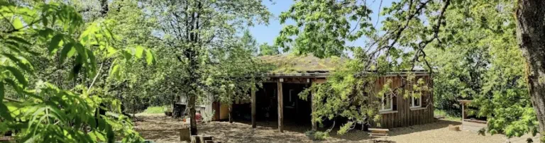 Waldkindergarten Wiblingwerde e.V. Header