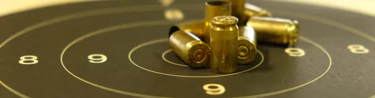 Pistolenschützenverein Neustadt in Sachsen e.V. Header