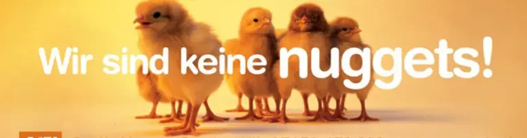 PETA Deutschland e.V. Header