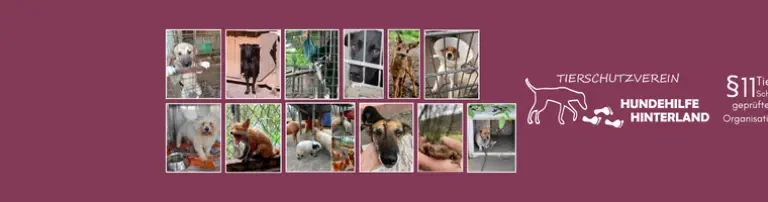 Tierschutzverein Hundehilfe Hinterland e.V. Header
