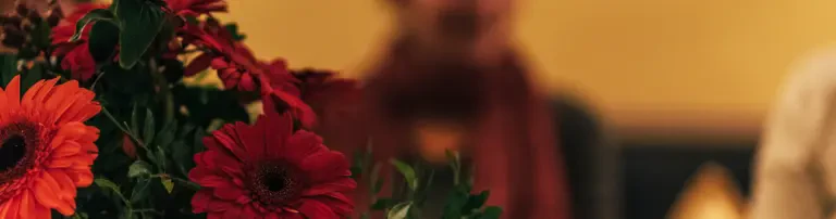 Silberstreif Krisendienste für Frauen e.V. Header