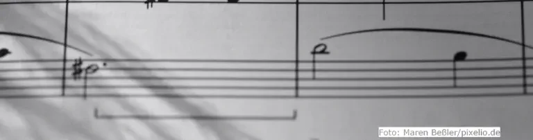 Förderverein "Für Musik Schloss Neuhaus" e.V. Header