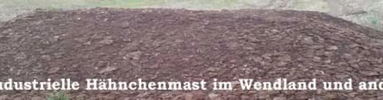 IgiT - Initiative gegen industrielle Tierhaltung e. V. Header