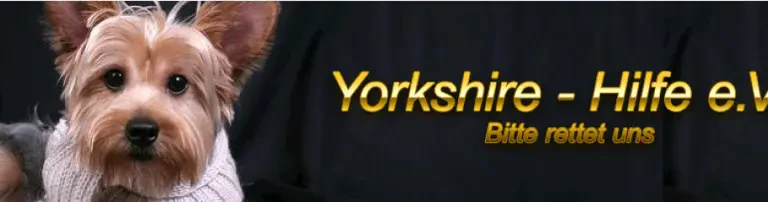 Yorkshire-Hilfe e.V. Header