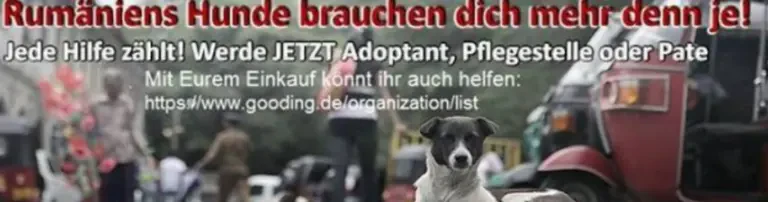 Pro Animal Welfare Hamburg e.V. Header