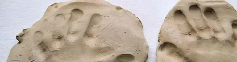 Anna - Unterstützung krebskranker Kinder e. V. Header